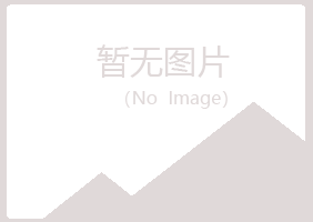 平昌县如柏建设有限公司